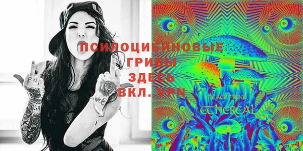 эйфоретик Балахна