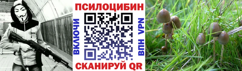 Псилоцибиновые грибы MAGIC MUSHROOMS  Усть-Катав 